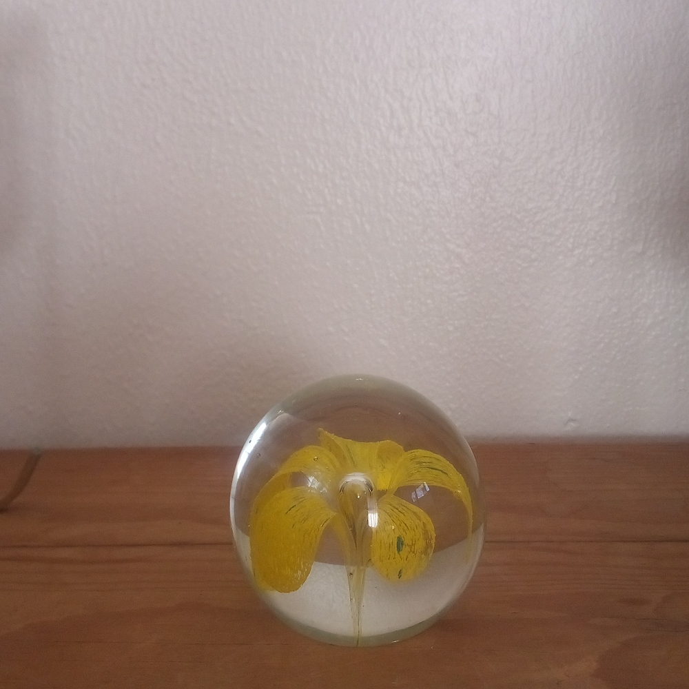 Glass Paperweight
